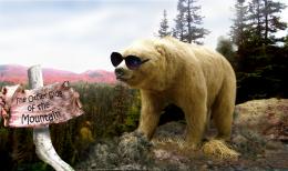 The Bear Went Over the Mountai